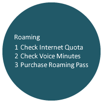 Keep track of your Internet usage