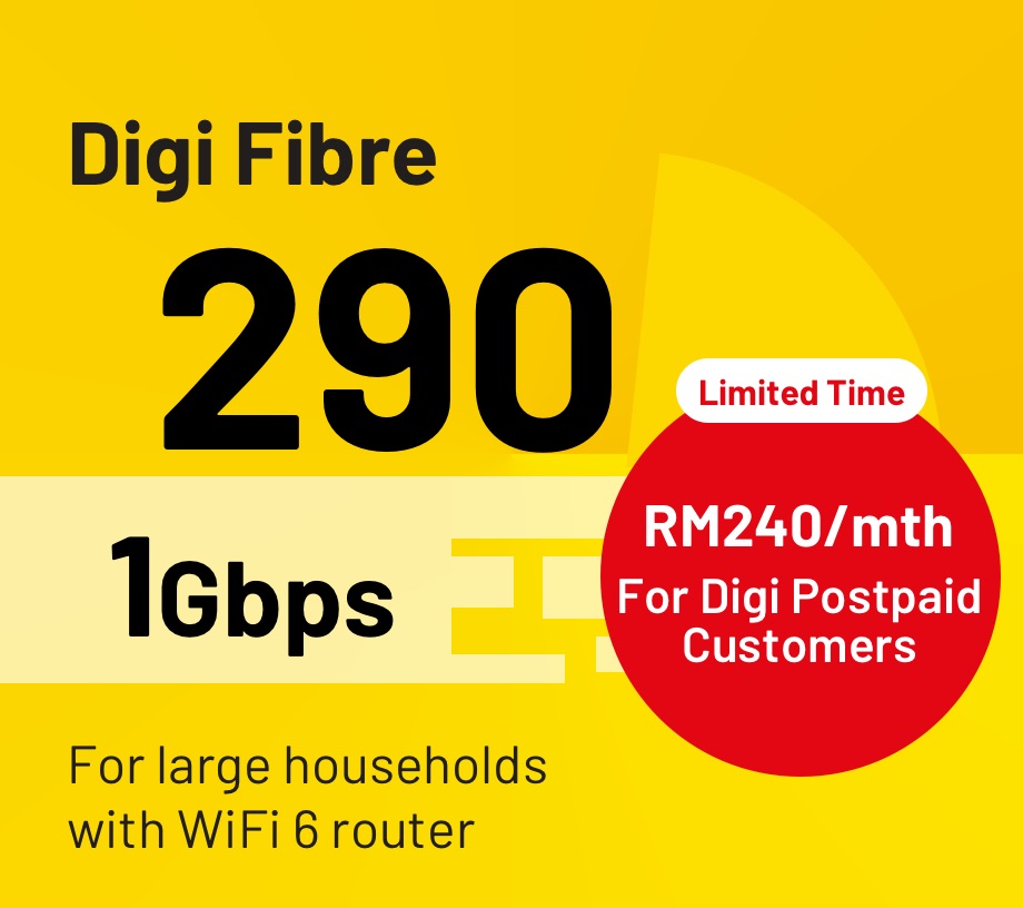 Digi FIbre 290