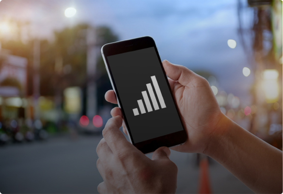 network status checker